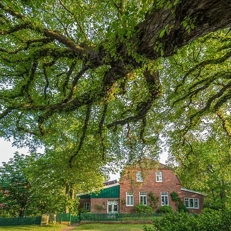 Dom wakacyjny Strandleev Spiekeroog