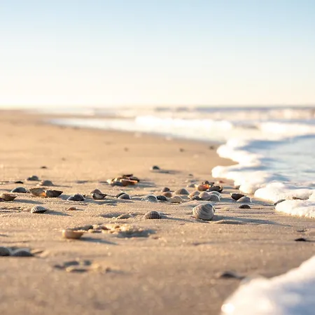 Strandleev * Spiekeroog