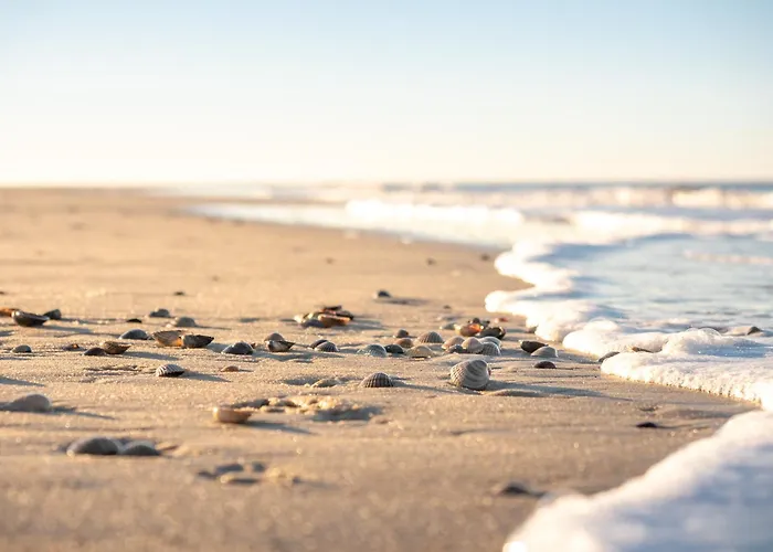 Strandleev * Шпикерог